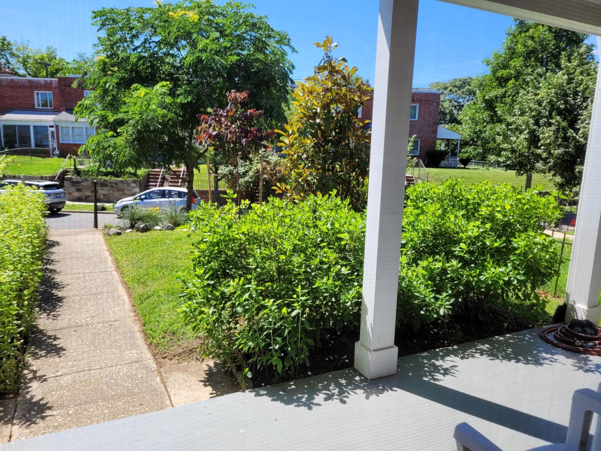 Capitol Hill Adj Home With Parking And Easy Access To Downtown Washington Kültér fotó